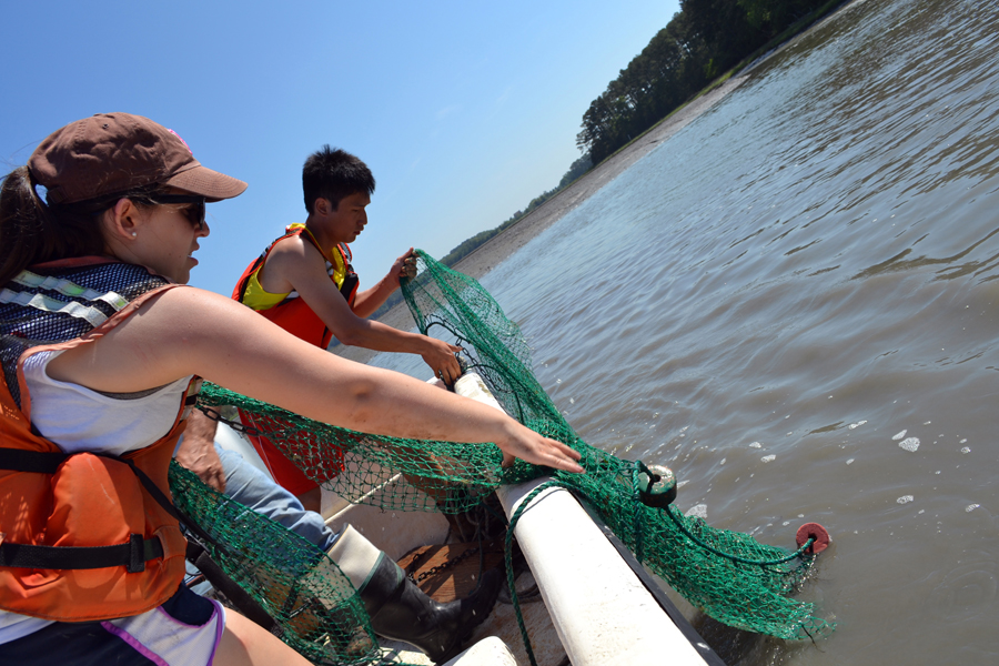 Honorable Mention-Jenny Dreyer— REU students Hannah Erhmann and Martin Wong retrieving a trawl net from the waters of Virginia’s Eastern Shore.