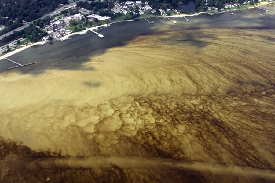 The third-place winner was Professor Wolfgang Vogelbein, for his aerial image of a harmful algal bloom in the York River.