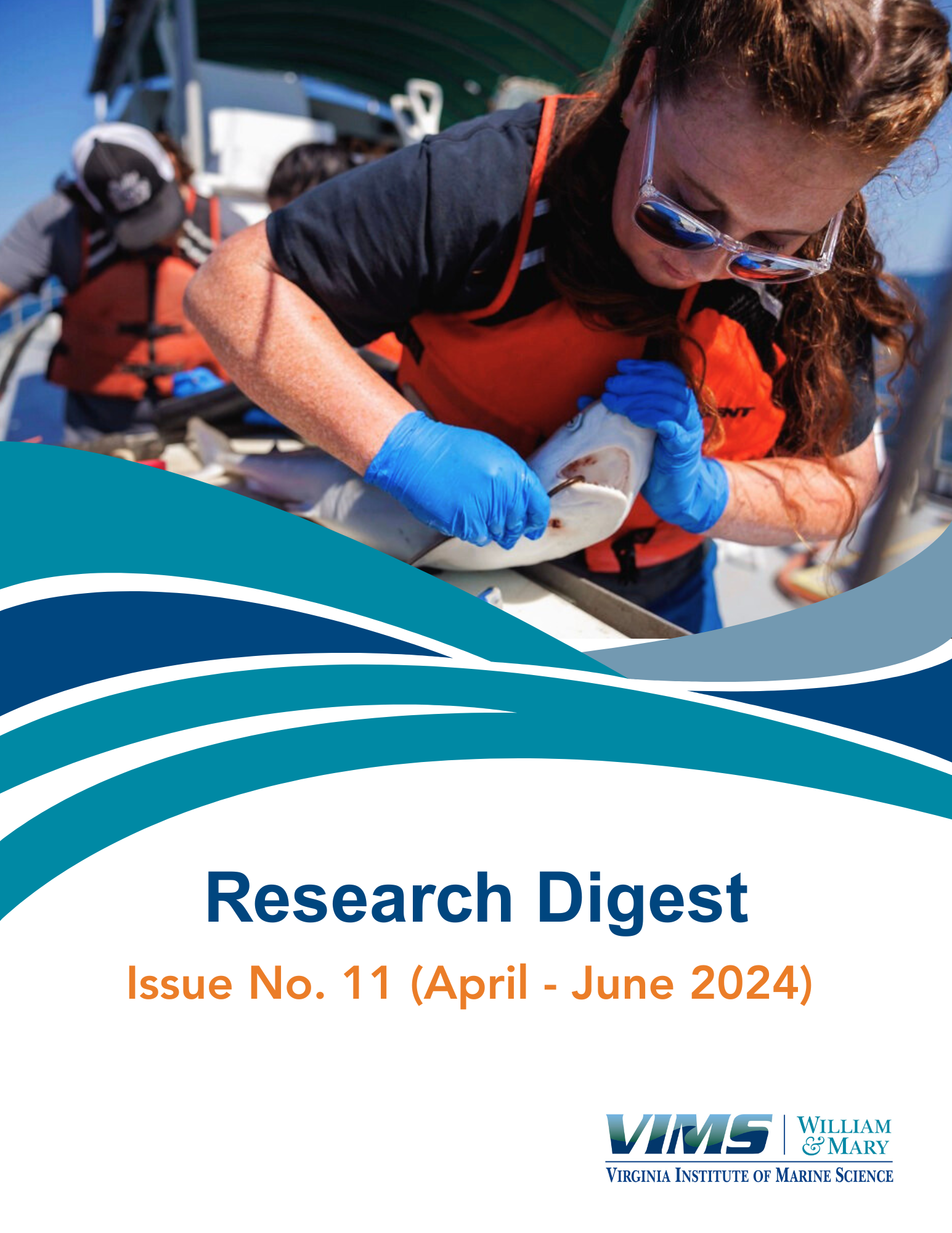 Cover Photo - Issue No. 11