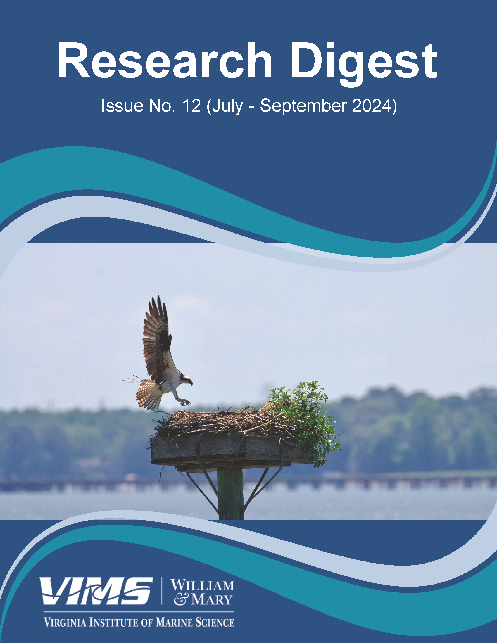 Cover Photo - Issue No. 12