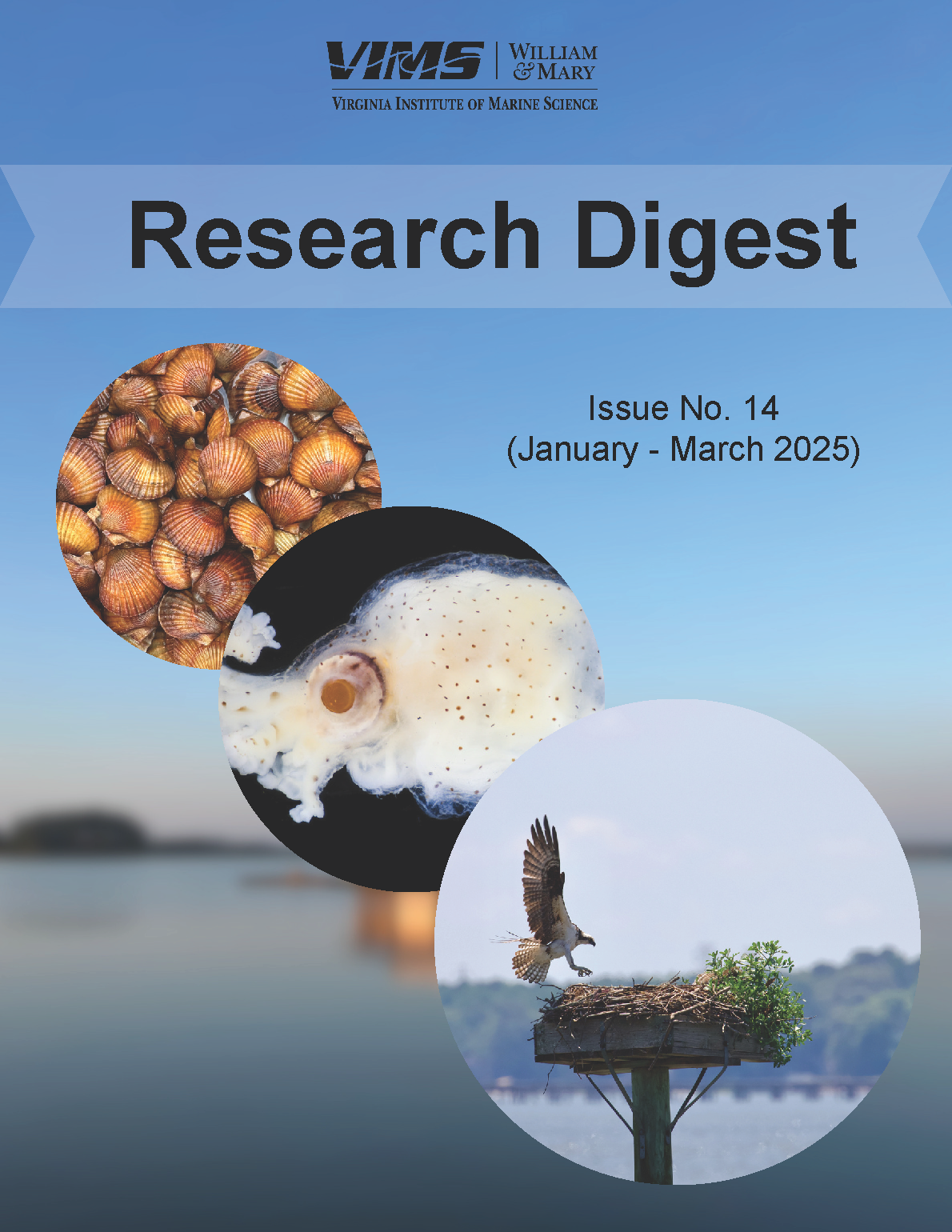 Issue no. 14 - Cover