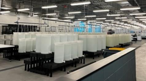 Larval tanks on the main floor of the Acuff Center