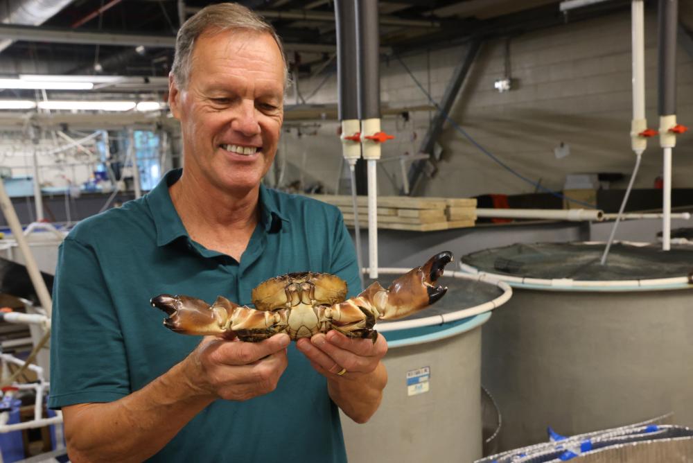 Batten School & VIMS Professor Rom Lipcius holding Stone Crab
