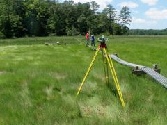 Sentinel site surveying in a Chesapeake Bay marsh.