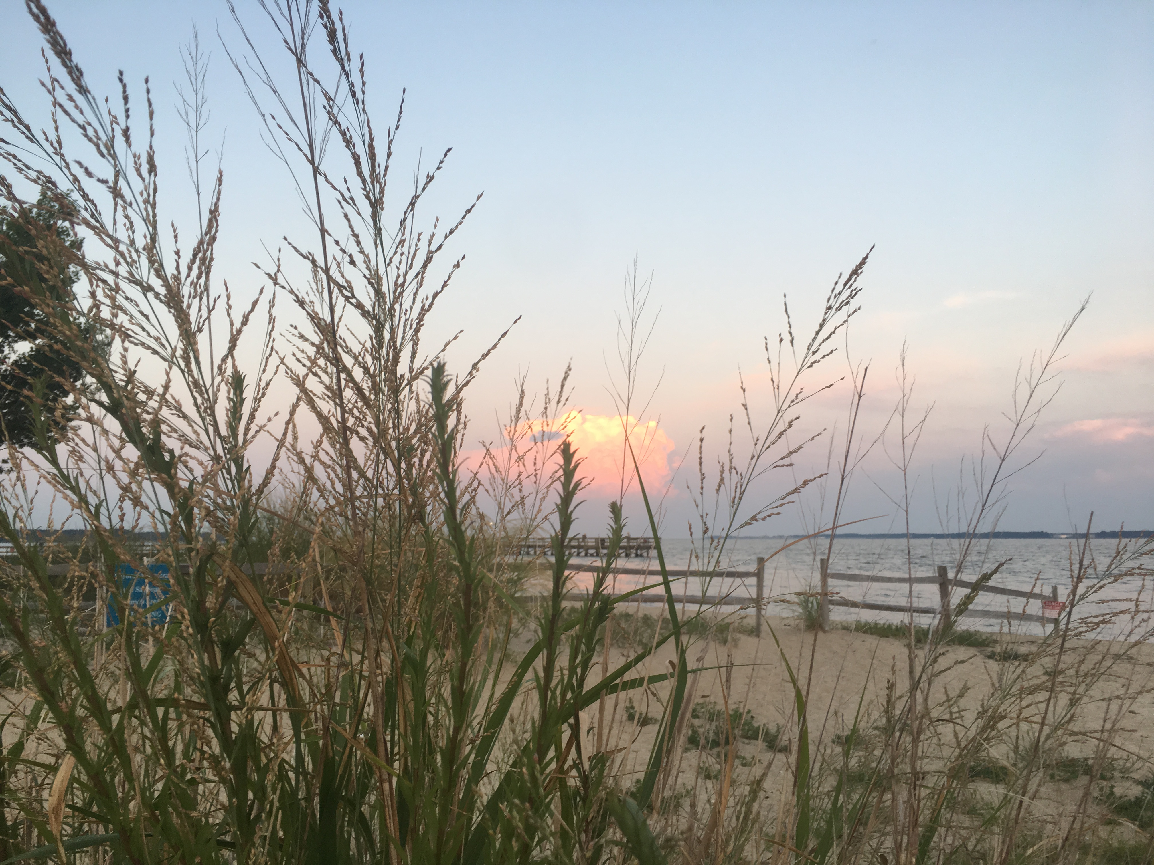A peak at Gloucester Point Beach Park sands.  Credit: C. Gonzalez.