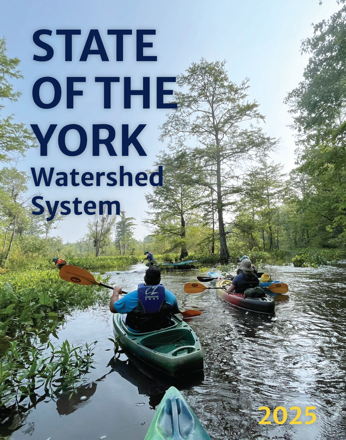 Click on image above for link to official site!