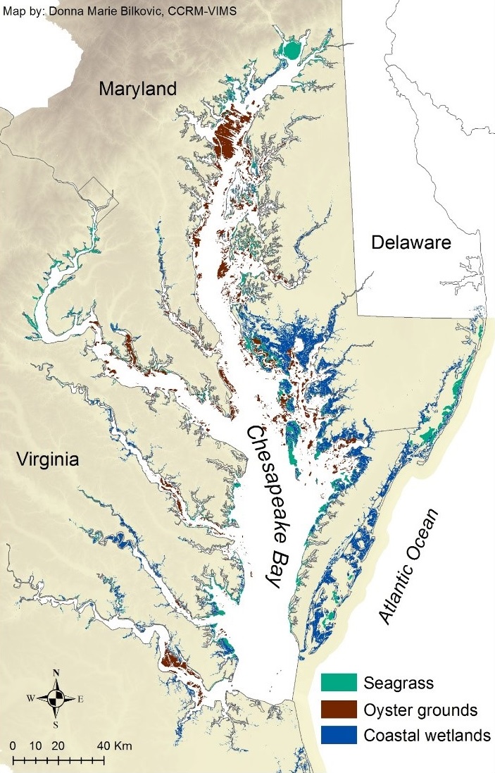 (from Bilkovic et al. 2019). Major coastal habitats in Chesapeake Bay. The location of estuarine and freshwater tidal wetlands are based on U.S. Fish and Wildlife National Wetlands Inventory geospatial data and include wetlands with emergent vegetation. The location of potential productive oyster grounds was extracted from the Chesapeake Bay CMECS Geodatabase, NOAA Chesapeake Bay Office, 01-06-2017. Seagrass is the ten-year composite distribution of submersed aquatic vegetation (SAV) beds determined from 2003-2012 by the Virginia Institute of Marine Science Submerged Aquatic Vegetation program (http://web.vims.edu/bio/sav).