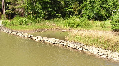 Marsh Toe Revetment - Tidal Pond