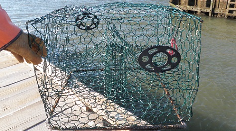 Crab Pot with Biodegradable Panel