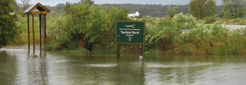 Flooded Teaching Marsh