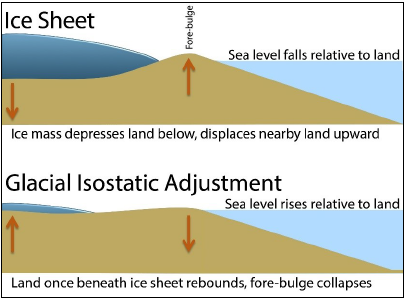 Global Isostatic Adjustment is the response of the earth’s surface to the melting of ice sheets and glaciers from the last ice age. The land previously covered by ice “rebounds” by moving upward while land further south (like Virginia which is the “forebulge” in this picture) sinks or “subsides”. 
