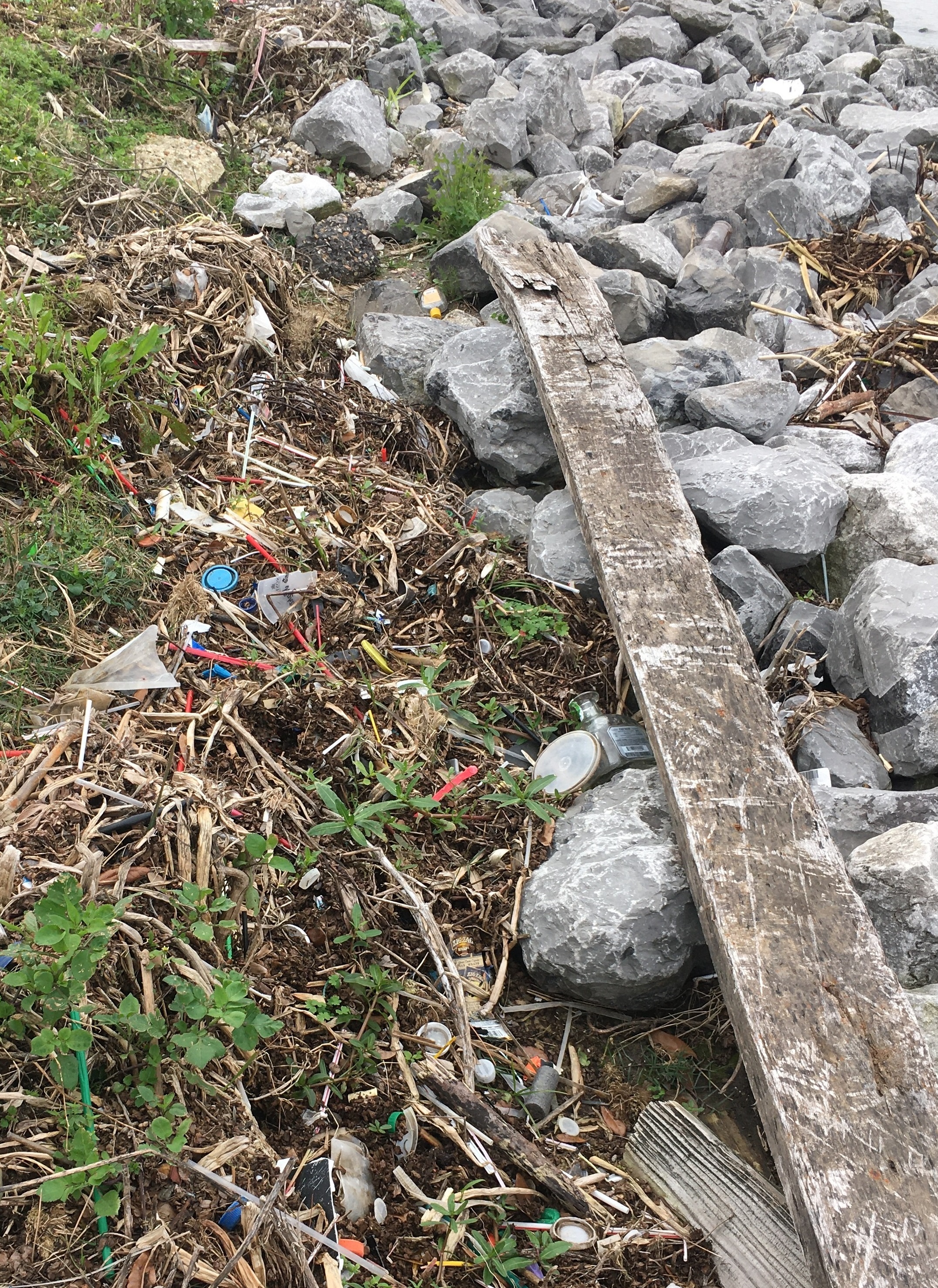 Trash near the shoreline can end up in the water due to rainstorms, high tides, and wind.