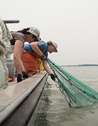 Oyster Spat on Ceramic Tile