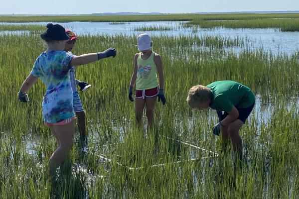 Elementary school students conduct an experiment in the wetlands