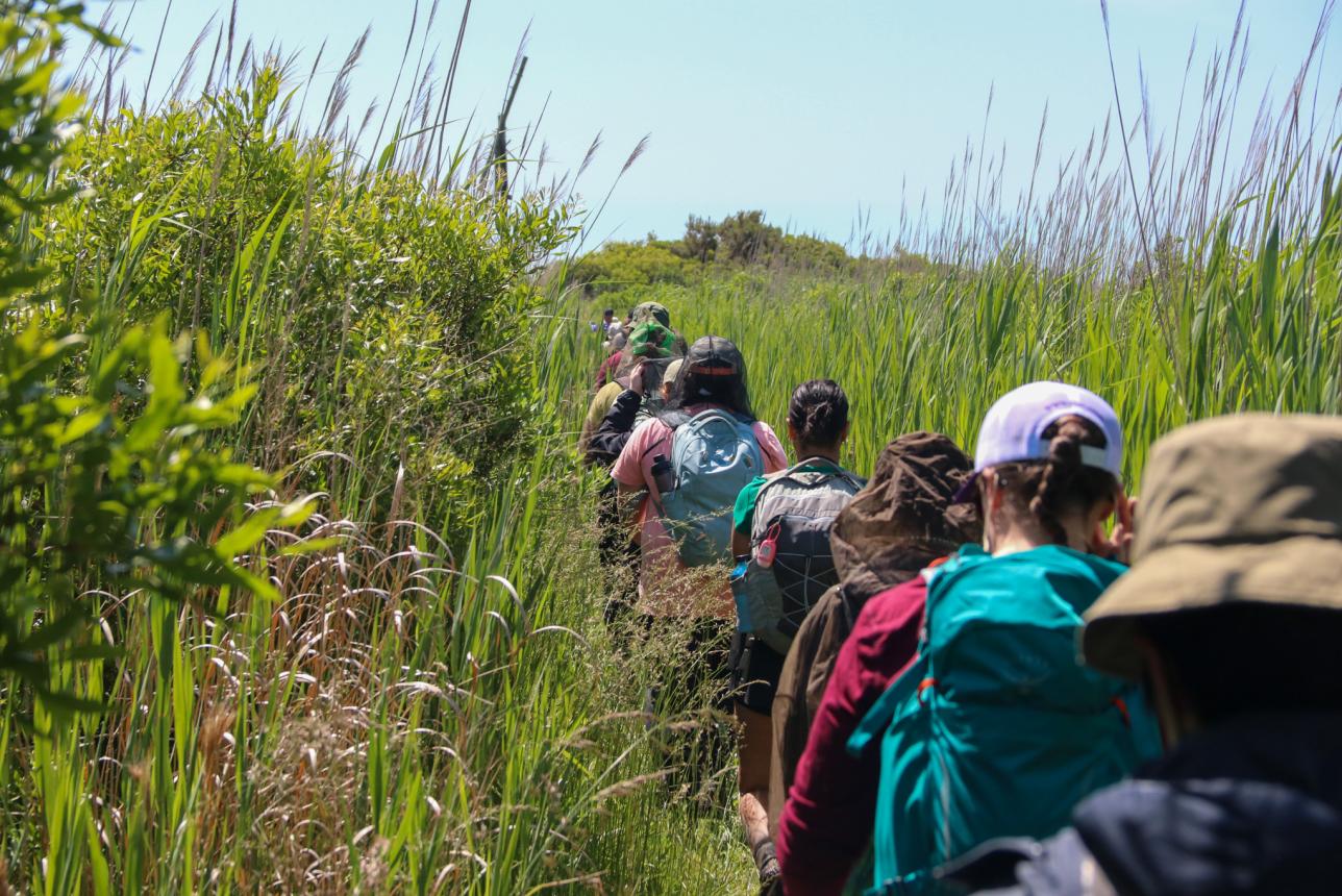 Undergrads on a field course