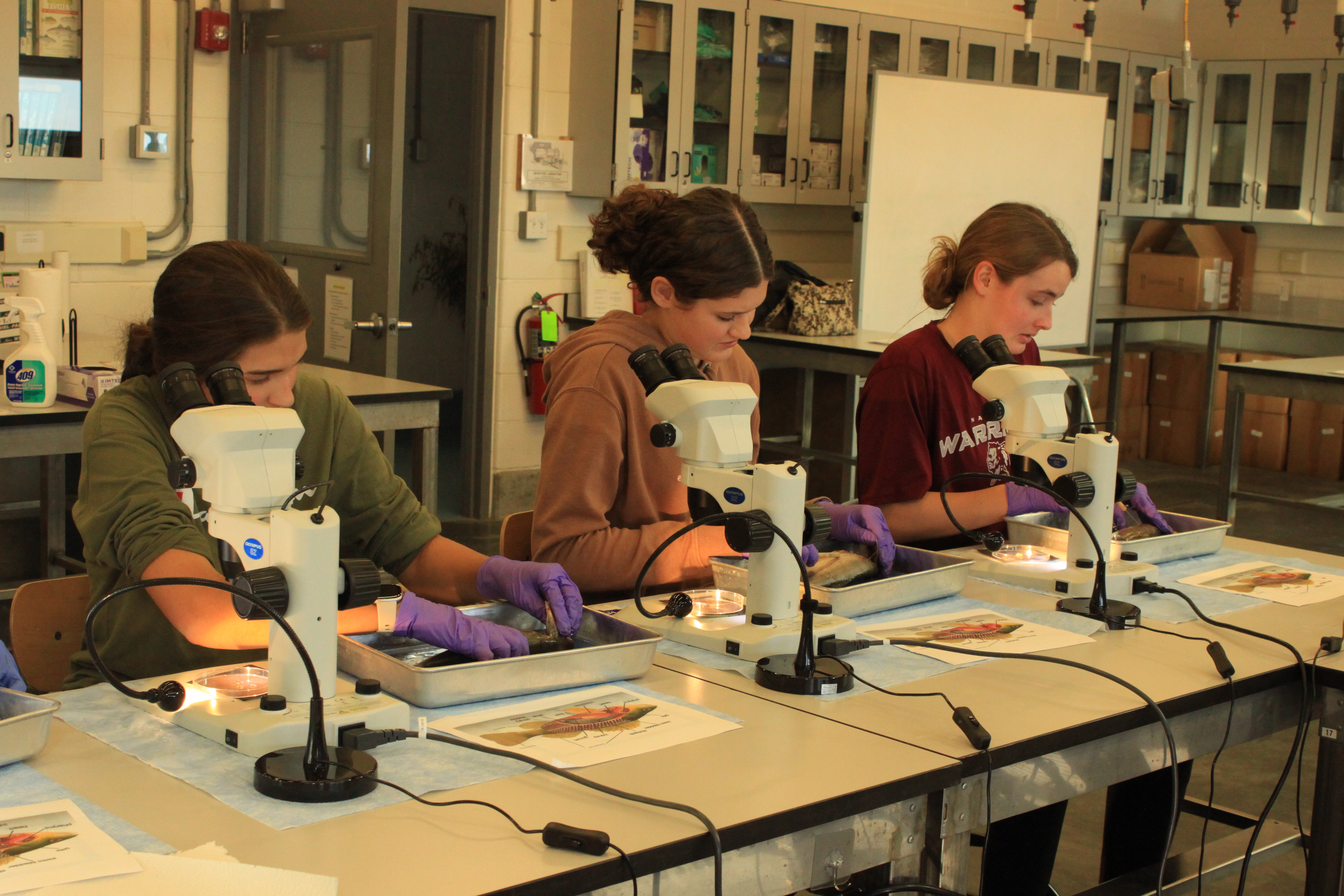 Photo by Reba Turner Smith.