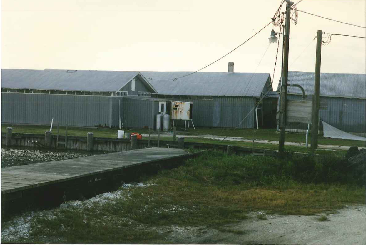 Old Davis Shucking Houses next to ESL boat basin - 2000