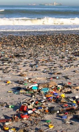 Beaches worldwide are now home to a bewildering array of plastic debris. © Maleen/Marine Photobank.