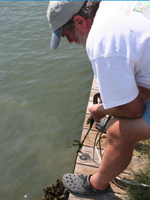 Tommy Leggett (M.A. '80) lowers a reef-ball into the water. 