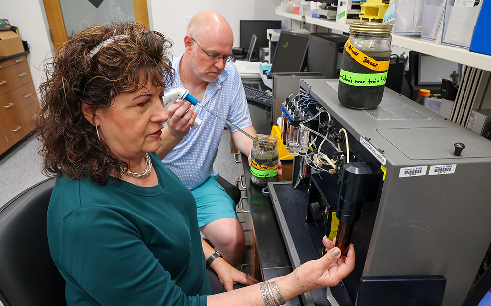 Freshly cleaned oyster broodstock. Photo by Lauren Gregg.