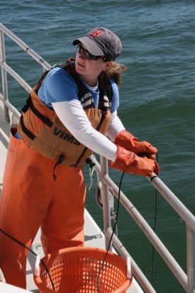  Alison Smith deploys a sensor to record water temperature, salinity, and dissolved oxygen readings during the Blue Crab Winter Dredge Survey. The data are compared to dredge survey results to better understand blue crab distribution, habitat use, and behavior.