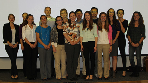 What is a dissertation picture