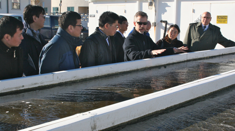 $_EscapeTool.xml($image_display_name)