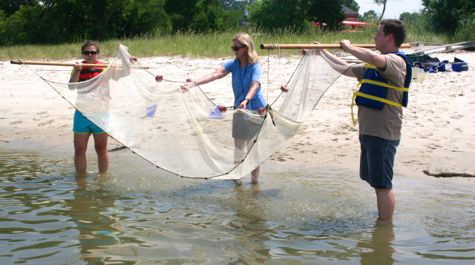 $_EscapeTool.xml($img_display)