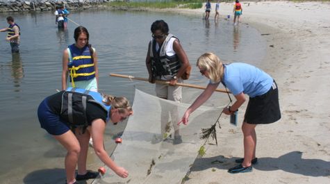 $_EscapeTool.xml($img_display)