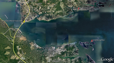 $_EscapeTool.xml($image_display_name)