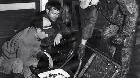 $_EscapeTool.xml($image_display_name)