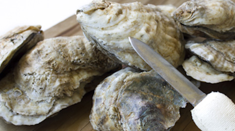 Disease Resistance in Oysters
