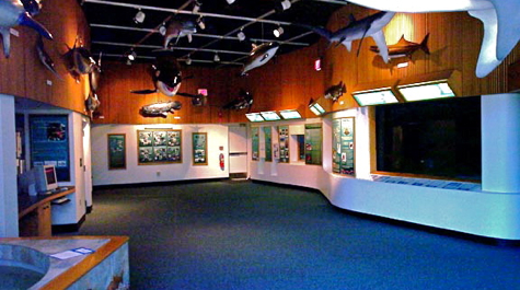 VIMS Visitors Center
