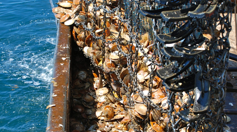 $_EscapeTool.xml($image_display_name)