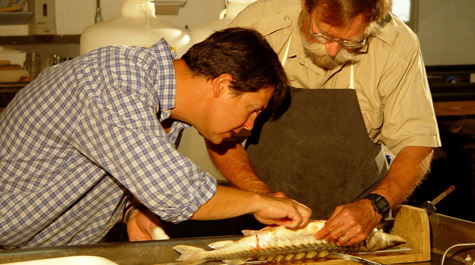 $_EscapeTool.xml($image_display_name)