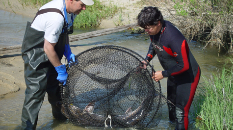 $_EscapeTool.xml($image_display_name)