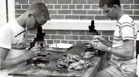 $_EscapeTool.xml($image_display_name)