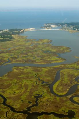 Coastal marshes store about half of all the carbon held in marine environments. © M. Kirwan/VIMS.