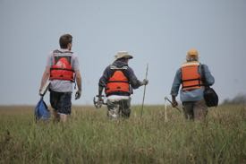 VIMS professor Jim Perry (R) engages in saltmarsh research with two William & Mary undergrads. © S. Salpukas/W&M.