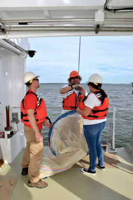 (L-R) R/V {em}Virginia{/em} mate Taylor Moore, marine technician Joe Cope,  and graduate student Kristen Sharpe prepare the net for a plankton tow on the Rappahannock River. © K. Rebenstorf.