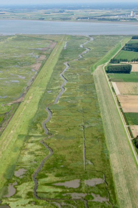 Dikes like these in the Netherlands act as barriers to the inland migration of coastal wetlands. © Rijkswaterstaat/Joop Van Houdt.