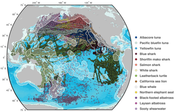 Geopolitics of Migration
