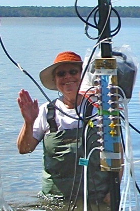 Dr. Iris Anderson conducts fieldwork in the New River estuary as part of the DCERP project.