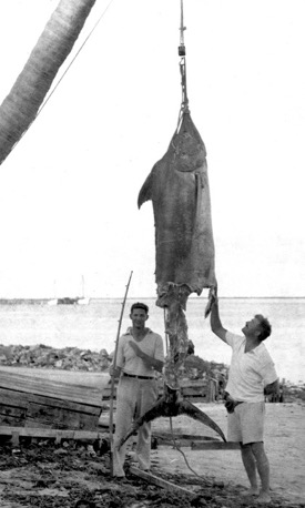 Graves (R) with the world-class blue marlin after it had been eaten by the mako shark. © Wikipedia.