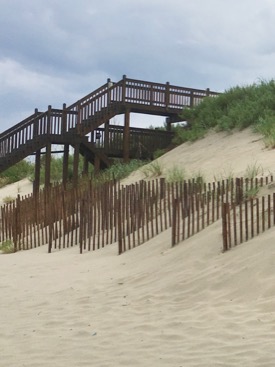 Dunes that are constructed or encouraged to accumulate behind physical barriers such as fences lack the internal root structure that stabilizes natural dunes. © David Malmquist/VIMS.