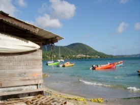 The climate and ecosystems of the French West Indies differ starkly from those of Virginia, providing a natural laboratory for studying chlordecone breakdown processes. © Wikimedia Commons.