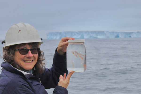 Deb Steinberg with krill
