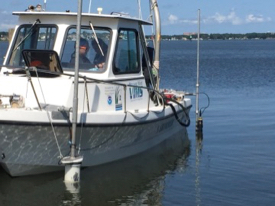 The researchers piloted their instrumented vessel slowly through each oyster farm and its surrounding area, using a bow-mounted acoustic Doppler current profiler to measure current speed and direction, and a stern-mounted datasonde to record chlorophyll, turbidity, and dissolved oxygen. © Grace Massey/VIMS.