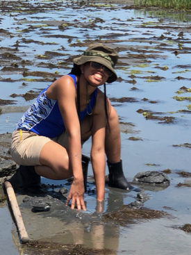 Chanté Lively examines a muddy tidal flat during the REU students' trip to the barrier islands of Virginia's Eastern Shore. © R. Seitz/VIMS.