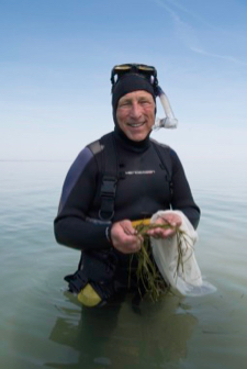 VIMS professor Robert "JJ" Orth collects eelgrass seeds in a Virginia coastal bay. © Jay Fleming.